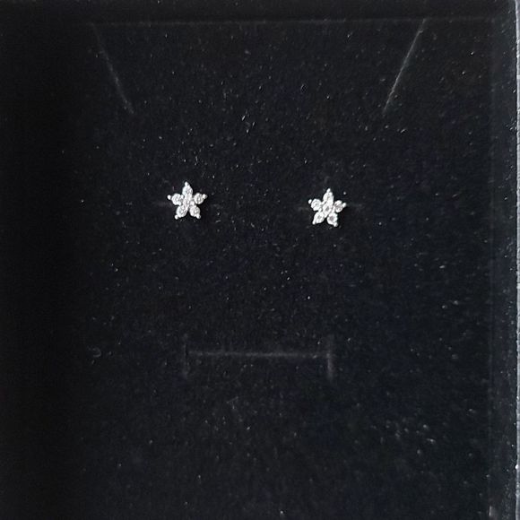 14K White Gold Plated Flower Earrings - Picture 5 of 12